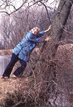 NBHA slides1332